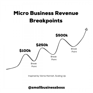 Microsbusiness revenue break points