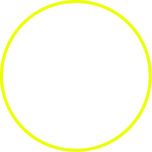 Text in a circle that says Workshop 2