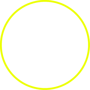 Text in a circle that says Workshop 4